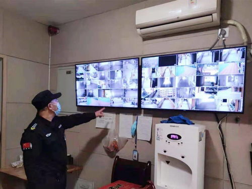 開學季：從“心”出發，“犇”向新學期